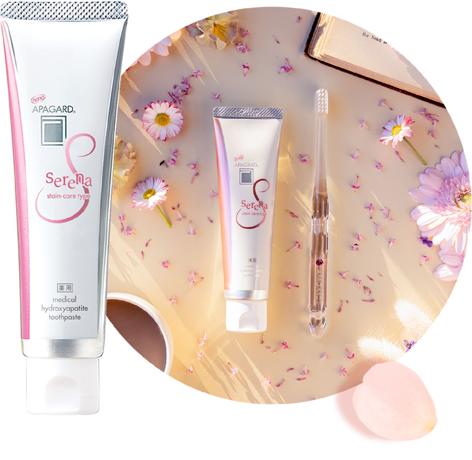 アパガード見本