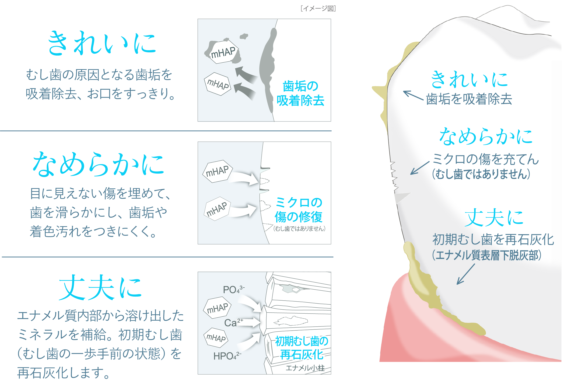 mHAP「薬用ハイドロキシアパタイト」3つの作用