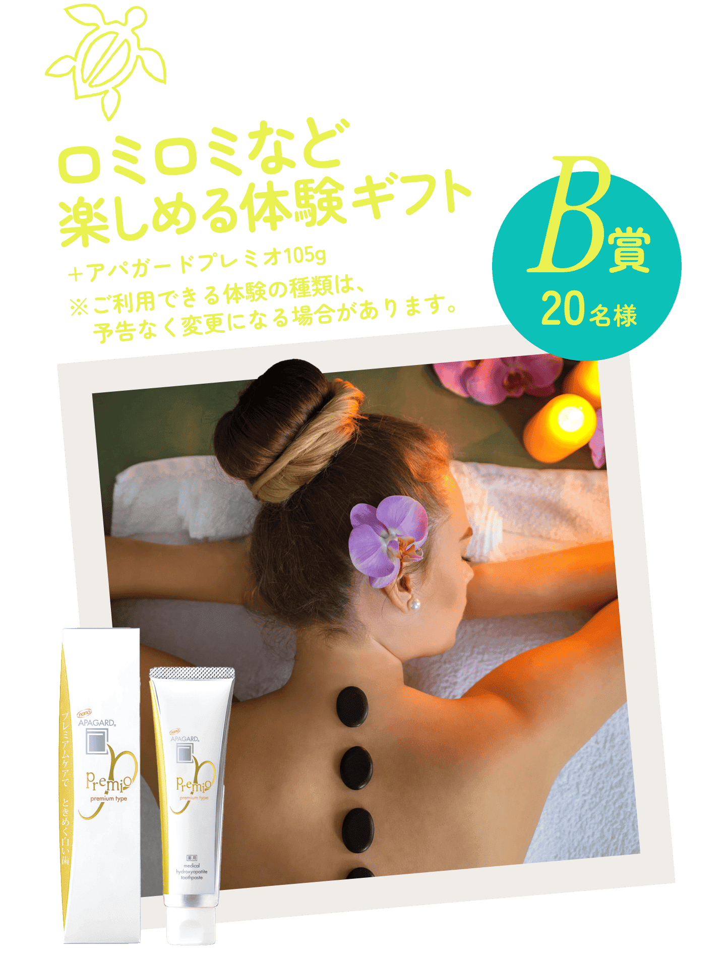 B賞 2組4名様 沖縄ハレクラニ＆ジャングリア沖縄