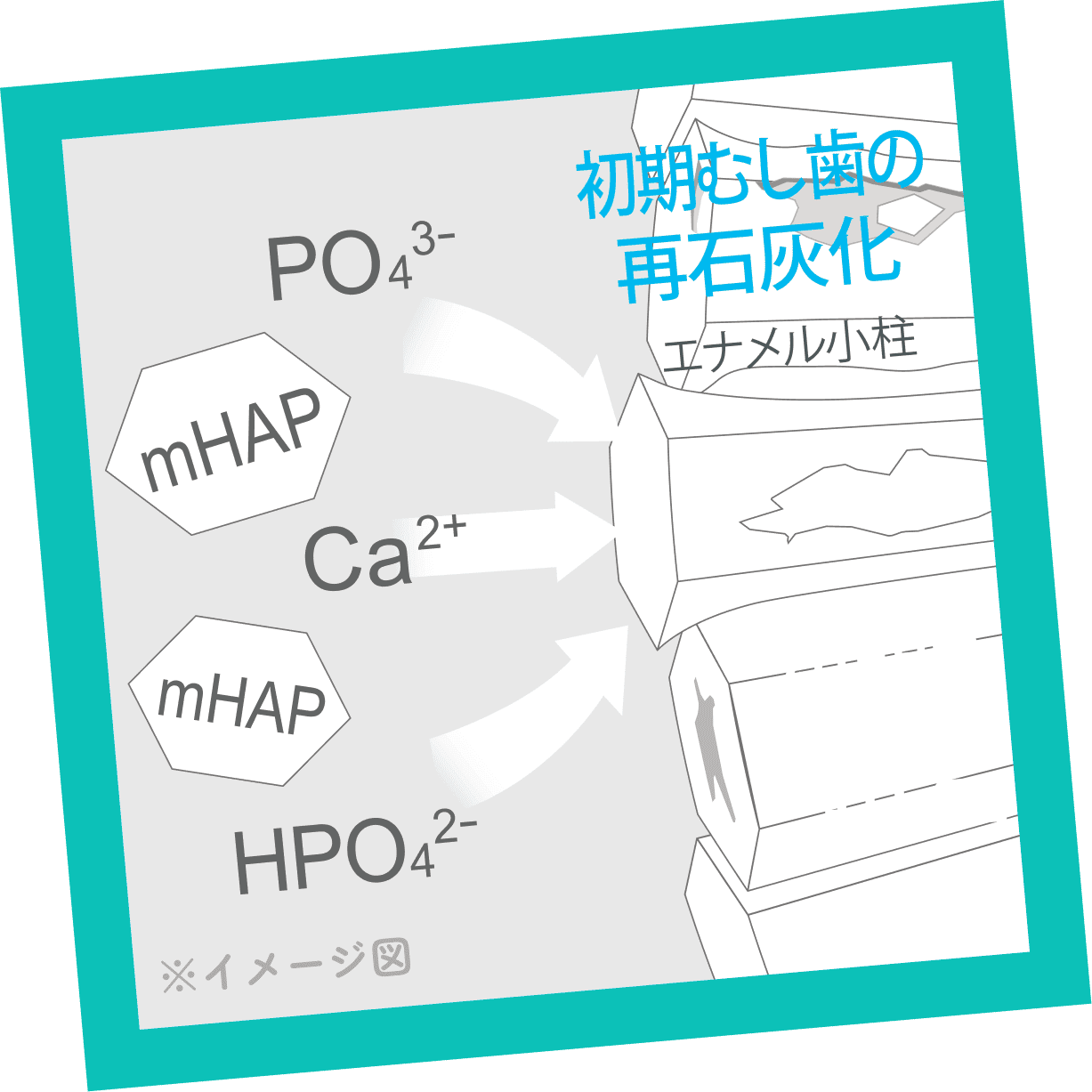 初期むし歯の再石灰化